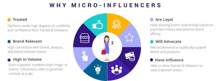 microinfluencer dinamiche chiave