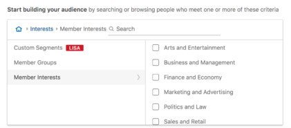 LinkedIn-segmentazione per interessi