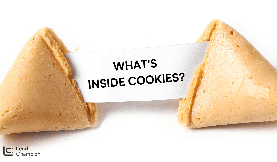 biscotto della fortuna: i cookie e il B2B Digital Marketing